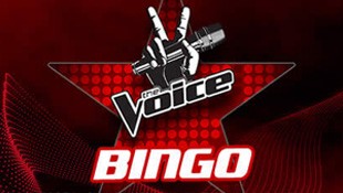 Bingo Bingo