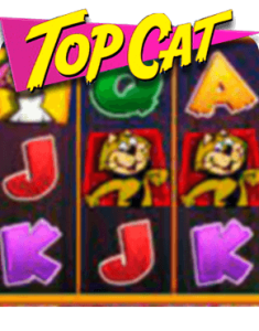 Top Cat Slot Review