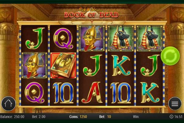 Book of Dead Online Slot Play'N Go