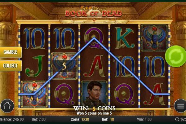 Book of Dead Online Slot Play'N Go