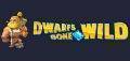 Dwarfs Gone Wild Online Slot