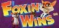 Foxin Wins Online Slot