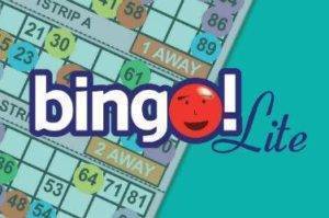 Bingo Lite Game Tombola