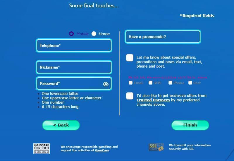 How To Play Online Bingo All You Need To Know About Bingo Games