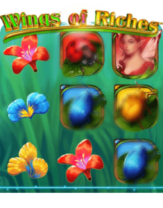 Wings of Riches Slot Review