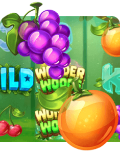 Wonder Woods Slot Review