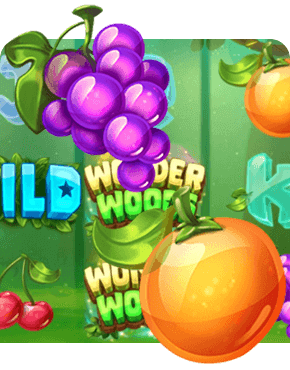 Wonder Woods Slot Review