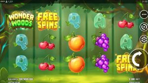 Wonder Woods Slot Game