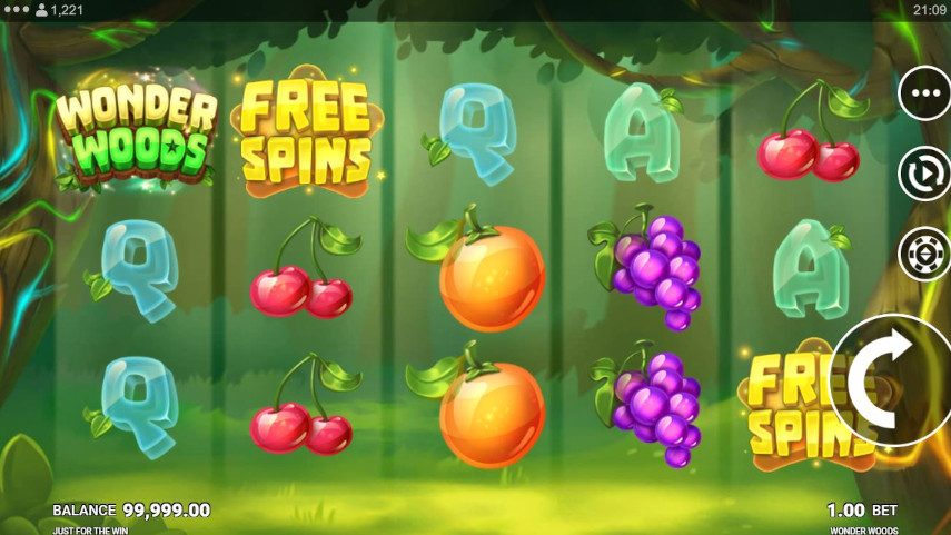 Wonder Woods Slot Game