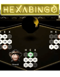 HexaBingo Review