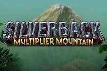 Silverback Multiplier Mountain slot
