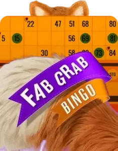 Fab Grab Bingo Review