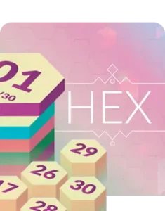 HexaBingo Review