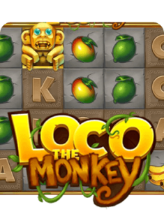 Loco the Monkey Slot Review