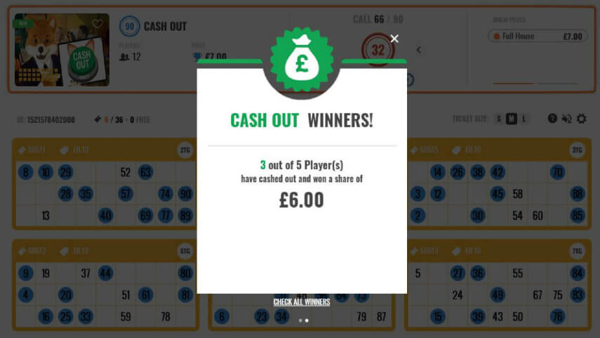 Cash Out Bingo Review