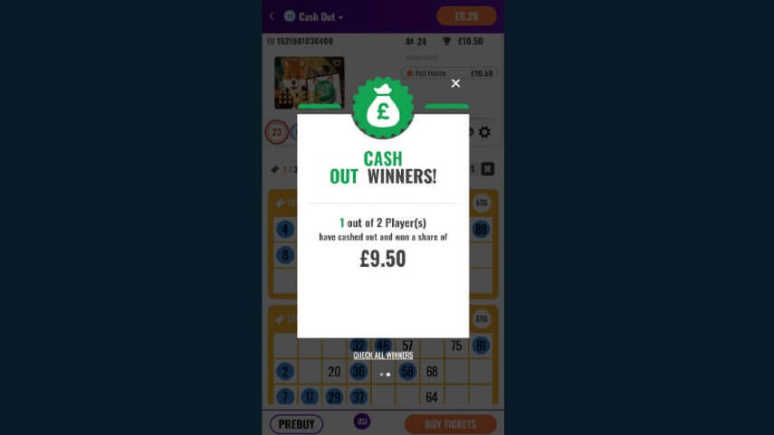 Cash Out Bingo Review