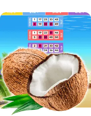 Coconut Island Bingo Review