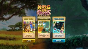 King of Cats Slot Review