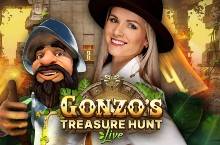 Gonzo’s Treasure Hunt