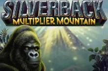 Silverback Multiplier Mountain