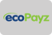 Ecopayz payment