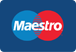 Maestro Maestro payment