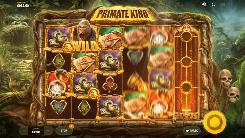 Primate King Slot Review