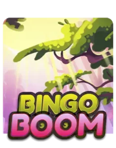 Bingo Boom Review