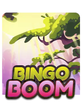 Bingo Boom Review