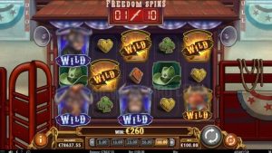 Bull in a Rodeo Slot Review