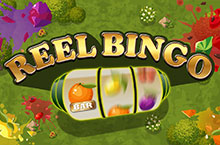 Reel Bingo Game Review