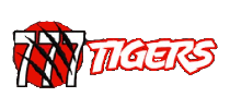 777 Tigers Casino Review