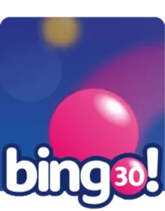 Bingo 30 Game Review