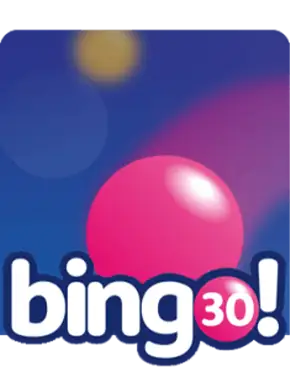 Bingo 30 Game Review