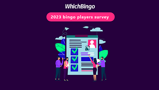 Bingo Survey 2023