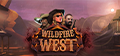 Wildfire West Rogue Software Review