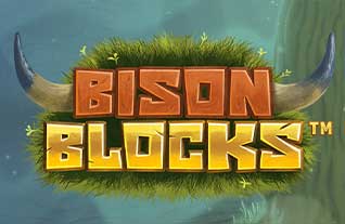 Bison Blocks Logo