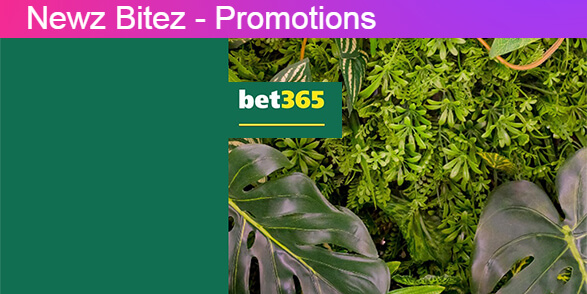 Who Will Be King or Queen of the Jungle with bet365