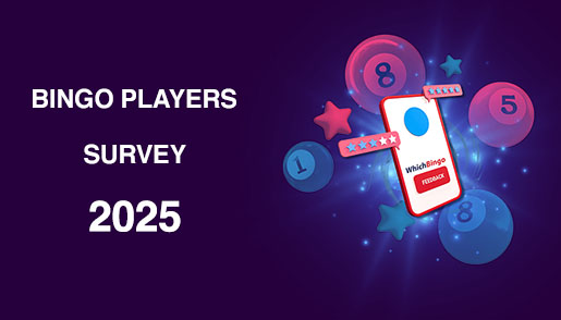 Bingo Players Survey 2025
