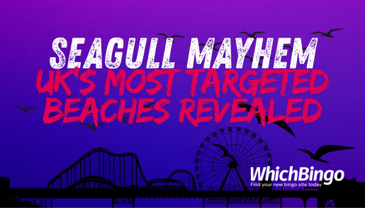 Seagull Mayhem 2025
