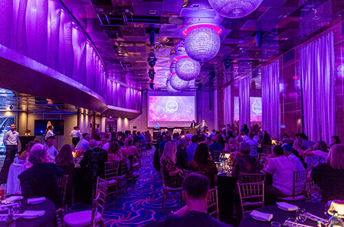 WhichBingo Awards 2024