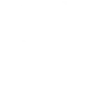 WhichBingo Awards 2026